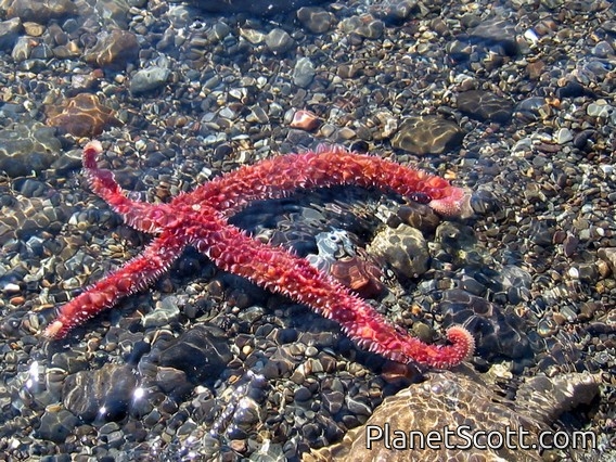 Gwaii Haanas National Park